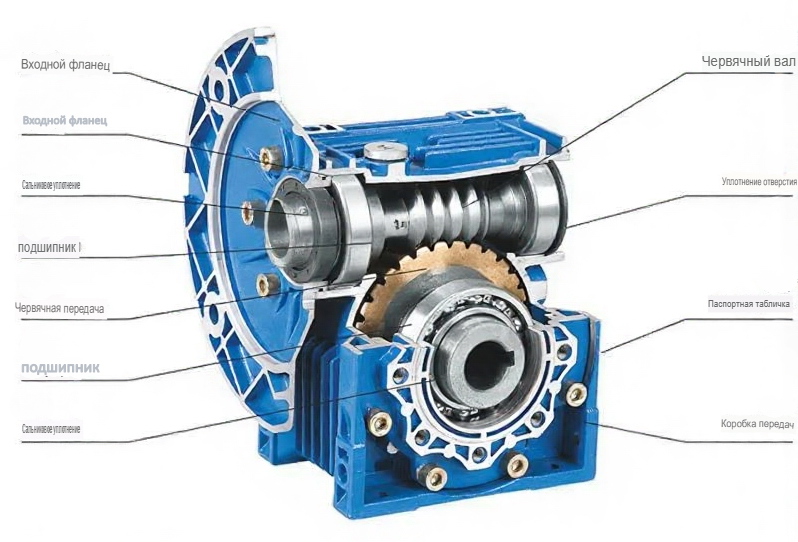 Разрез червячного редуктора NMRV 063 с обозначением основных элементов передачи..jpg